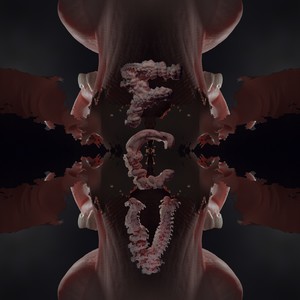 FCV (Explicit)