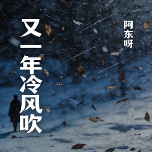 又一年冷风吹