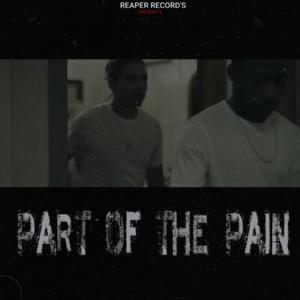 PART OF THE PAIN