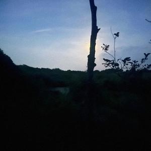 it still haunts me (feat. plain.)