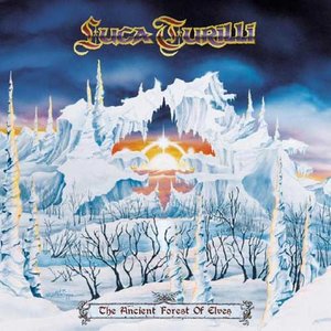 The Ancient Forest Of Elves