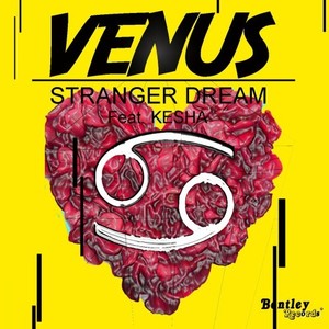 Stranger Dream (Explicit)