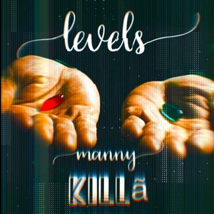 Levels (Instrumental Version)