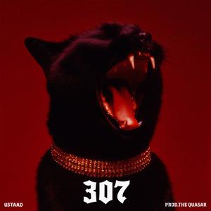 307 (feat. Ustaad) (Explicit)