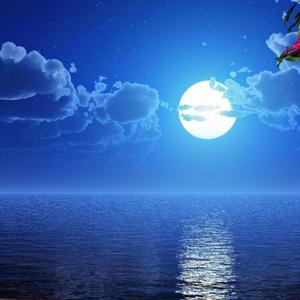 Blue Monday (feat. O.s-tailor)