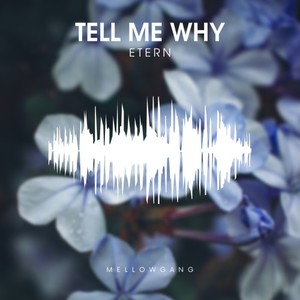 Tell Me Why (Original Mix)