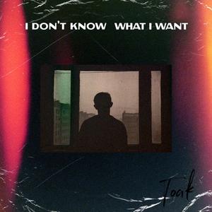 I Don't Know What I Want (Explicit)