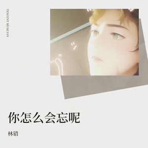 怎么会忘呢 (伴奏)