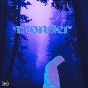 Wonder (Explicit)