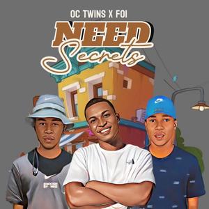 Need secrets (feat. Foi)