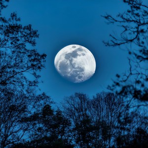 The Stillness Of Night