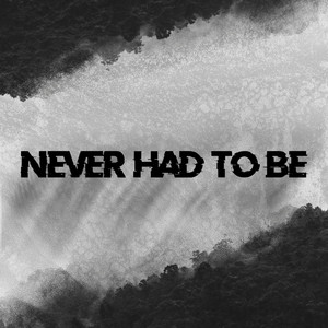Never Had To Be