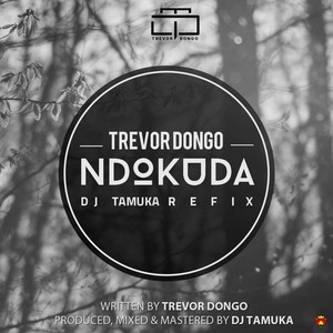 Ndokuda (DJ Tamuka Refix)