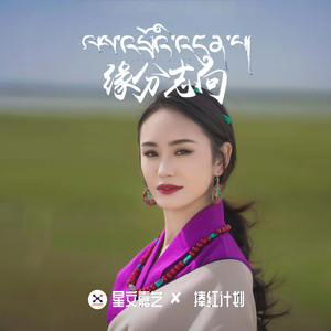 缘分志向