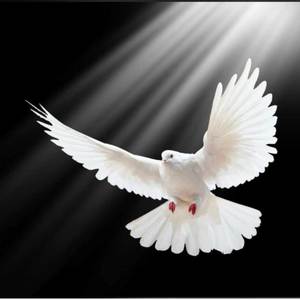 Mom proud (Explicit)