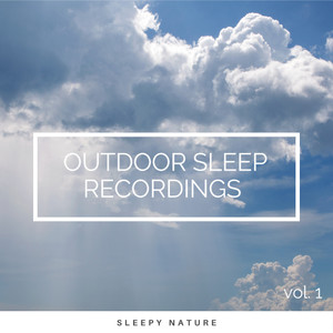 Nap of Woodlands Tunes pt. 5 (feat. Deep Sleep Nature Sounds, Noise of Colors Radio 1 & Nature And Bird Sounds) (Radio Edit)