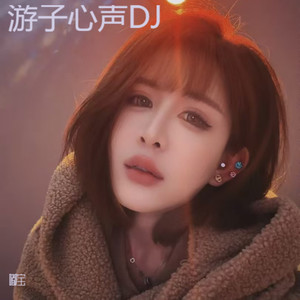 游子心声DJ_小帽版
