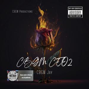 CBGM CEO2 (Explicit)