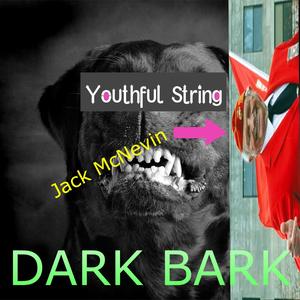 Dark Bark (feat. yung van, lieu & kurtains) (Explicit)