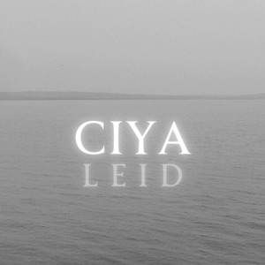 Leid