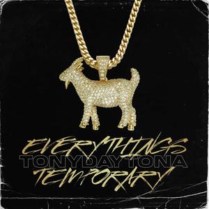 Everythings Temporary (Explicit)