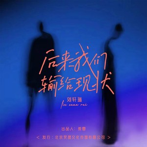 后来我们输给现状封面