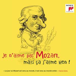 Je n'aime pas Mozart, mais ça j'aime bien !