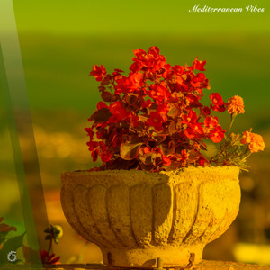 Wind Words (Original Mix)