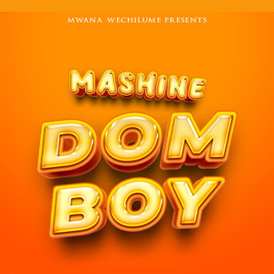 Dom Boy