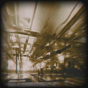 Don In The Mirror (Explicit)