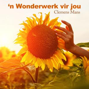 'n Wonderwerk vir jou