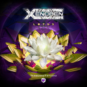 Lotus (Original Mix)