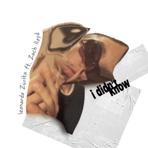 i didnt know (feat. Z.K. Lloyd) (Explicit)