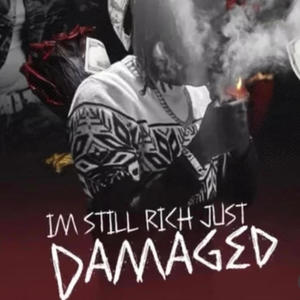 Im Still Rich Just Damaged (Explicit)