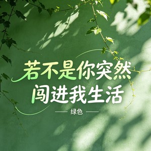 绿色封面
