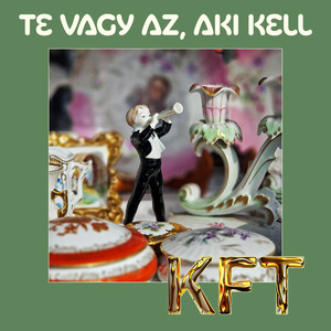 Te vagy az, aki kell