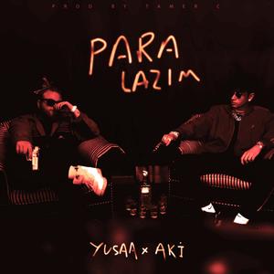 Para Lazım (feat. Akiiner)