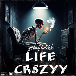 life cr8zyy (Explicit)