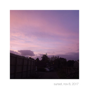 can't wait for sleepy tea