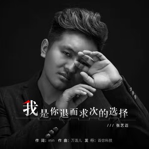 我是你退而求次的选择