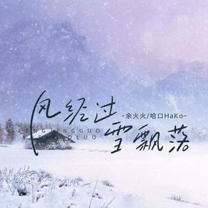 风经过 雪飘落