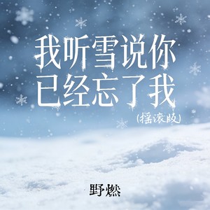 我听雪说你已经忘了我 (摇滚版)