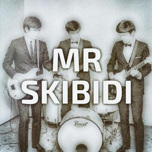 mr skibidi