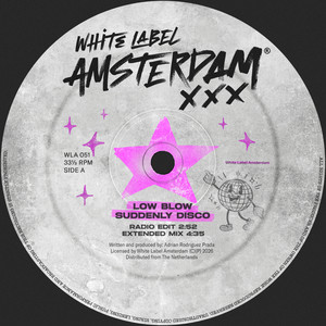 Suddenly Disco (Extended Mix)