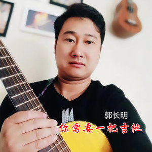 你需要一把吉他 (伴奏)