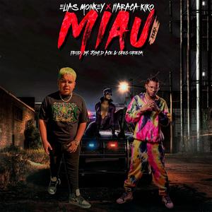 Miau (Remix|Explicit)