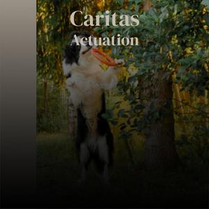 Caritas Actuation