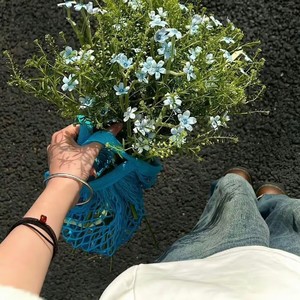 DJ阿柱 - 牵丝戏 (DJ降调)