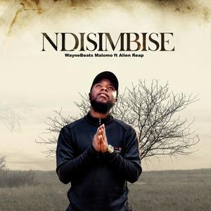 Ndisimbise (feat. Alien Reap)