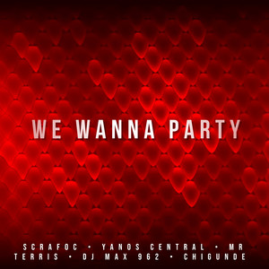 We Wanna Party